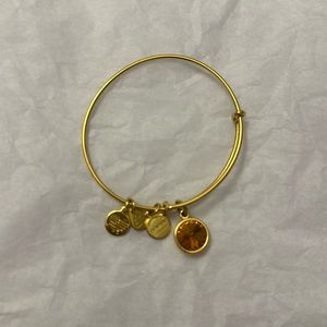 Alex and Ani November bangle